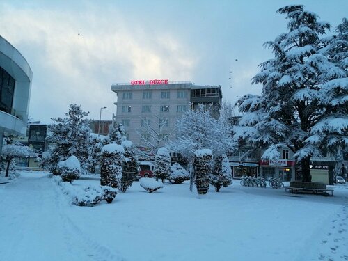 Otel Düzce, Забронировать Отель СПА-отели Дюздже, рядом с Автовокзал, SPA-услуги
