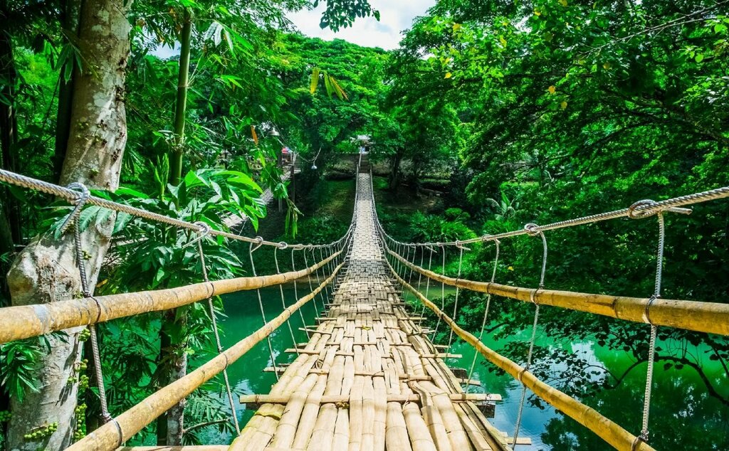 Loboc River Resort