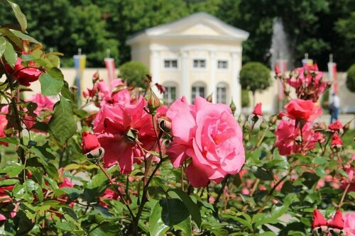 Villa Gutenbrunn Baden, Rezervați Hotel Hoteluri în Vienna surrounding cu parcare, Parcare