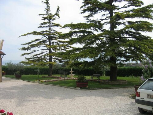 B&B Il Cascinale, Réserver Chambre d'hôtes Bettona Ombrie