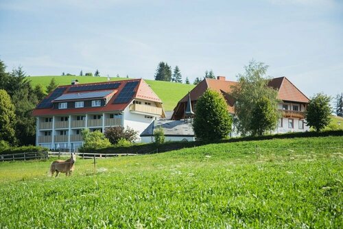 Gasthaus Sonne Neuhäusle, Réserver Hôtel Sankt Margen Forêt Noire