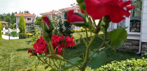 PALACE KIRKPINAR, Rezervovat Vila Vily v Sakarya, Vila
