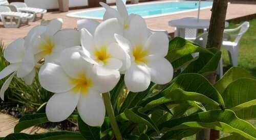 Pousada Porto Prime, Забронировать Отель СПА-отели штата Рио-де-Жанейро, SPA-услуги