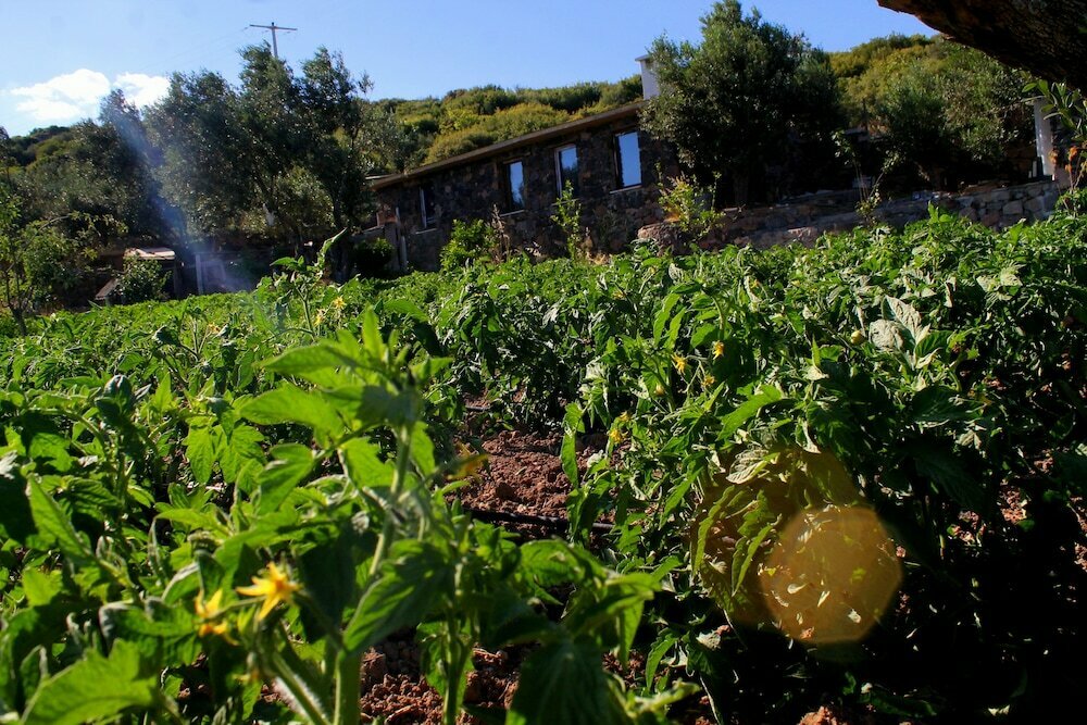 Assos Ali's Farm Boutique Hotel & SPA