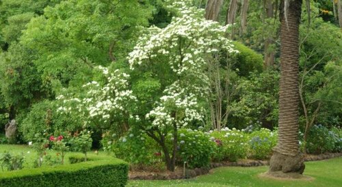 Graceburn Gardens, Забронировать Отель Отели Хилсвилл 4 звезды, рядом с Healesville Glassblowing Studio, 4*
