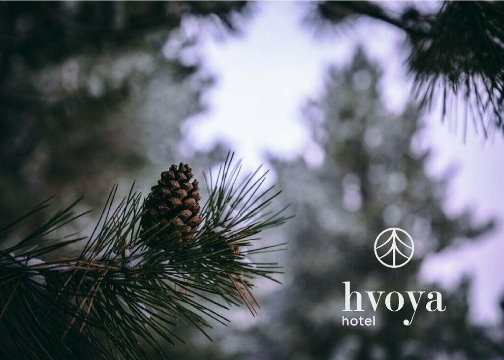 Hvoya Mini-Hotel
