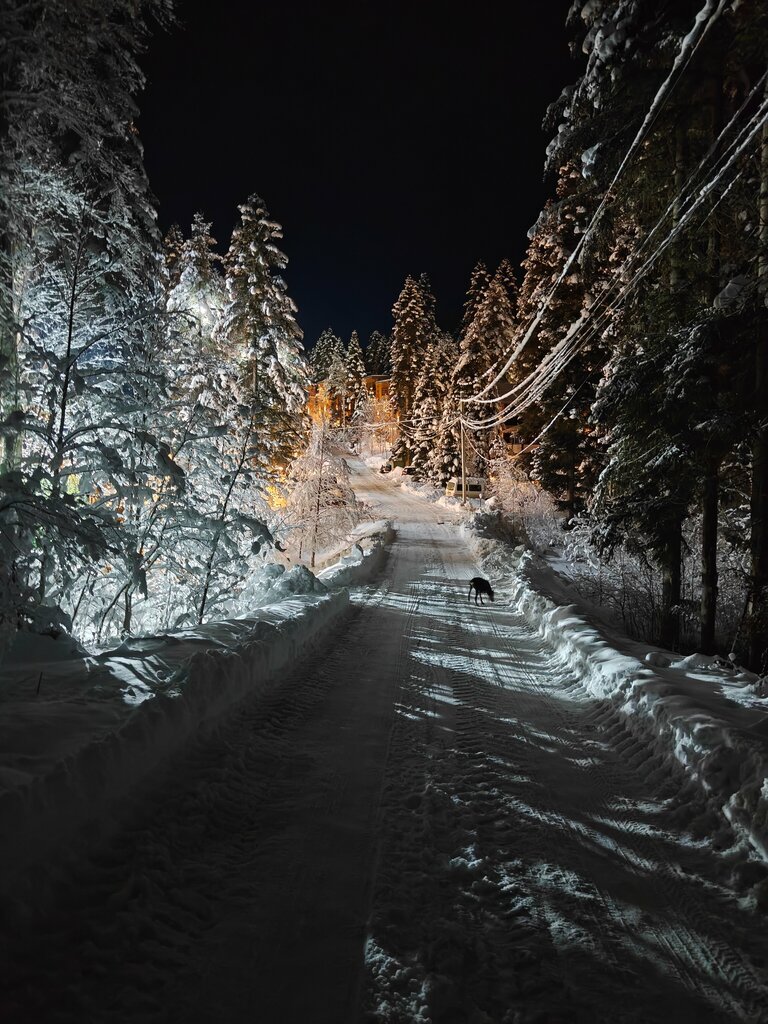 Шале Валландри