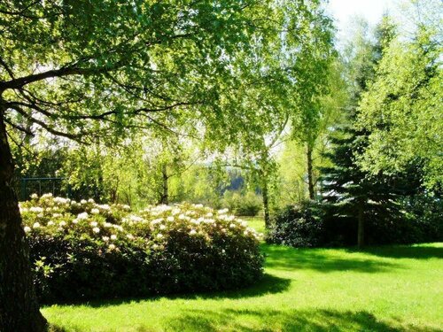 Hotel Heilbrunnen, Book Hotel SPA Hotels in Saxony, SPA