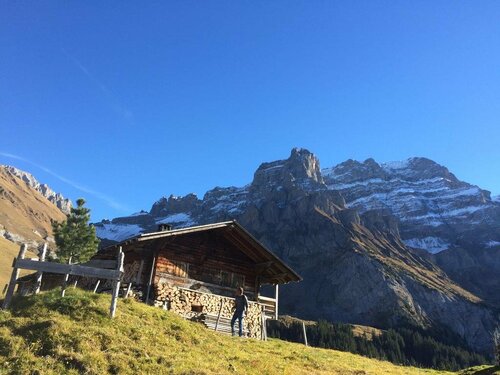 Bergdohle, Prenota Hotel Adelboden 
