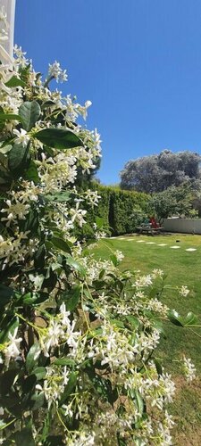 Forever Alaçati, Rezerwuj Hotel Çeşme Izmir