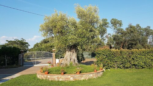 Casal SantElena, Reserva ahora Hotel Altopascio Toscana