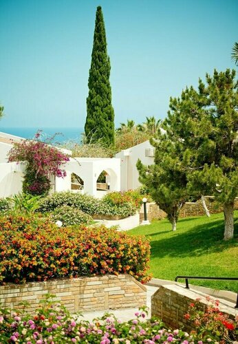 The Olive Tree, Забронировать Отель Отели Чаталкой 3 звезды, 3*