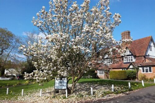 The Brickwall Hotel, Reservar Hotel Sedlescombe 