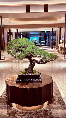 Hilton Hiroshima, Prenota Hotel Hotel 4 stelle a Hiroshima, 4*