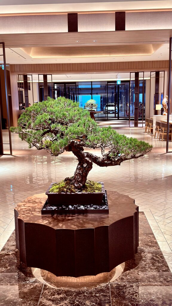 Hilton Hiroshima