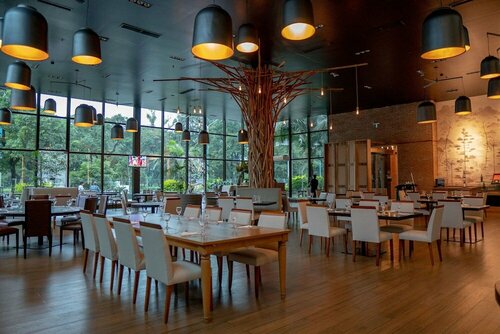 Sheraton Tucumán Hotel, Забронировать Отель Отели Тукуман с бассейном, Бассейн