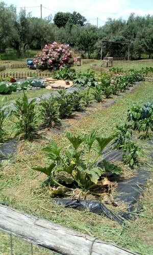 Azienda Agricola Biologica Petrignanum, Забронировать Отель Витербо Озеро Вико