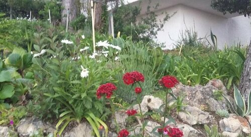 Del Sole Villaggio, Buchen Sie Hotel Ventimiglia 