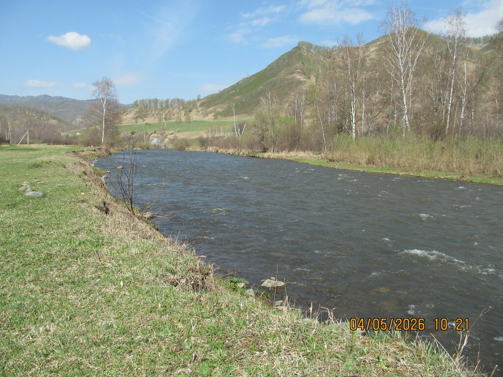 ТраваМурава