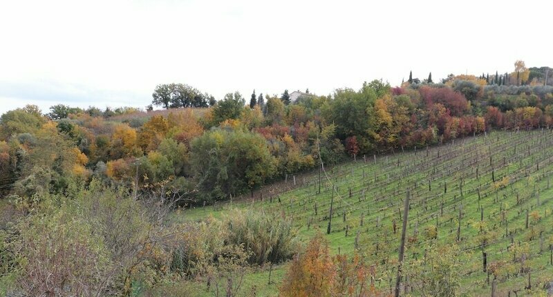 Agriturismo La Casella