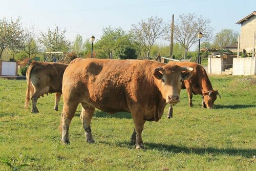Agroturismo La Casa Vieja, Réserver Maison de vacances Villas à Pays basque, Villa