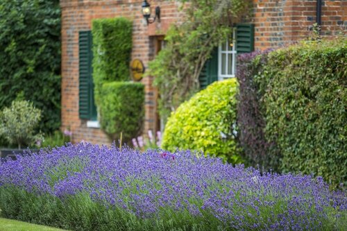 Melbourne Lodge, Book Hotel Hoteller i Welwyn med parkering, Parkering