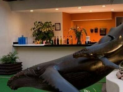 Hotel Delfin, Prenota Hotel Hotel 3 stelle a Jalisco, 3*