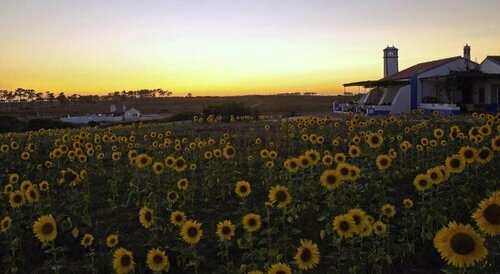 Herdade Do Touril, Забронировать Дом для отпуска Замбужейра-ду-Мар Побережье Алентежу