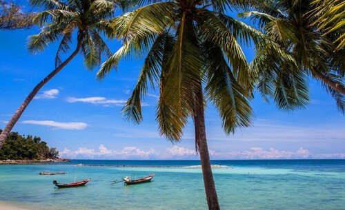 Green Papaya Beach Resort, Koh Phangan, Забронировать Курортный отель Ко-Пханган Сураттхани