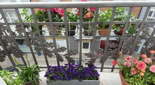 The Pea Blossom, Забронировать Отель Отели Копенгагена 3 звезды, рядом с Копенгаген H (Центральный вокзал Копенгагена), 3*