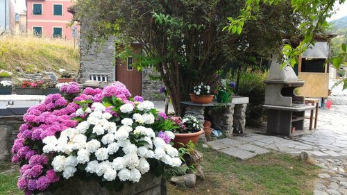 Casa La Rosa, Prenota Casa vacanze Cottage a Riviera Ligure, Cottage
