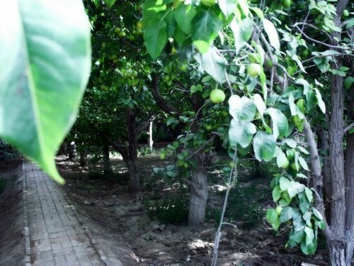 Shoufu Express Hotel, Prenota Hotel Hotel a Heilongjiang con parcheggio, Parcheggio