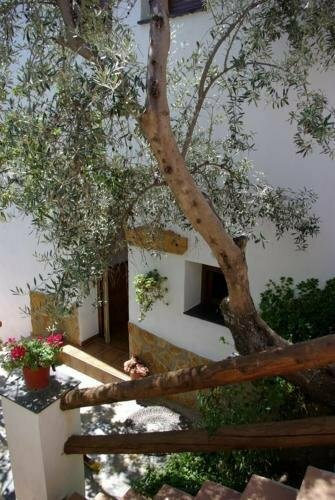 Pensión La Fuente, Buchen Sie Hotel Alpujarra de la Sierra Alpujarras
