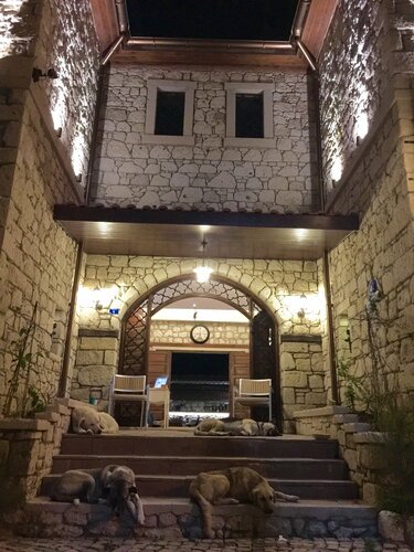 ‪Flores Hotel Alaçatı‬, Забронировать Отель Отели Измира с бассейном, Бассейн