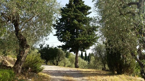 Poggio Oliva, Book Hotel Hoteller i Fiesole med morgenmad, Morgenmad