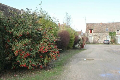 A La Ferme de la Joie, Rezervasyon Bed and Breakfast Chevannes 