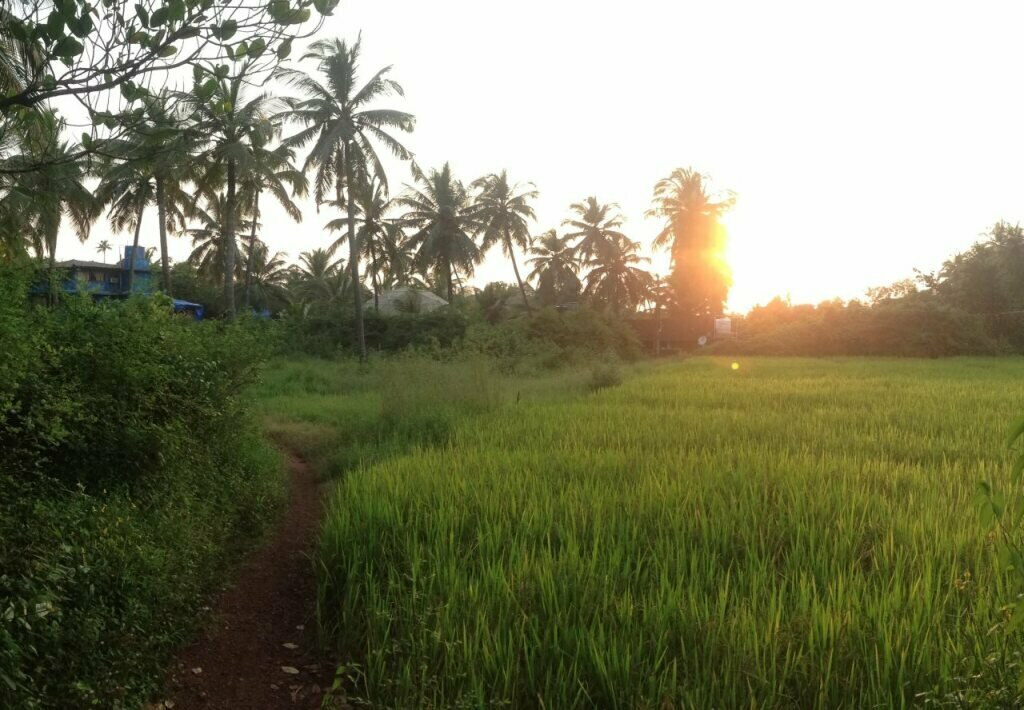 The Mandala Resort