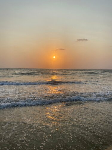 Adamo The Bellus, Reservar Hotel Calangute Goa Norte