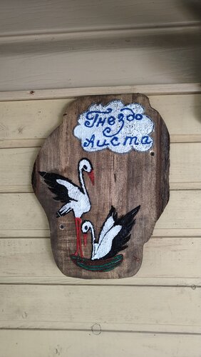 Gnezdo aista, Book Pension Idritsa Sebezhsky District