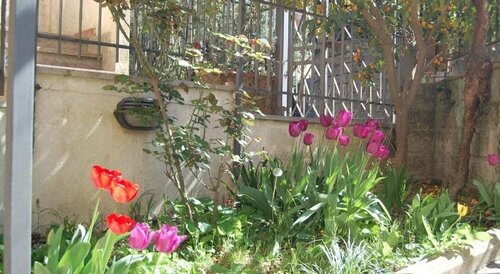 La Dolce Vita, Book Hotel Hoteller i Pitigliano med parkering, Parkering