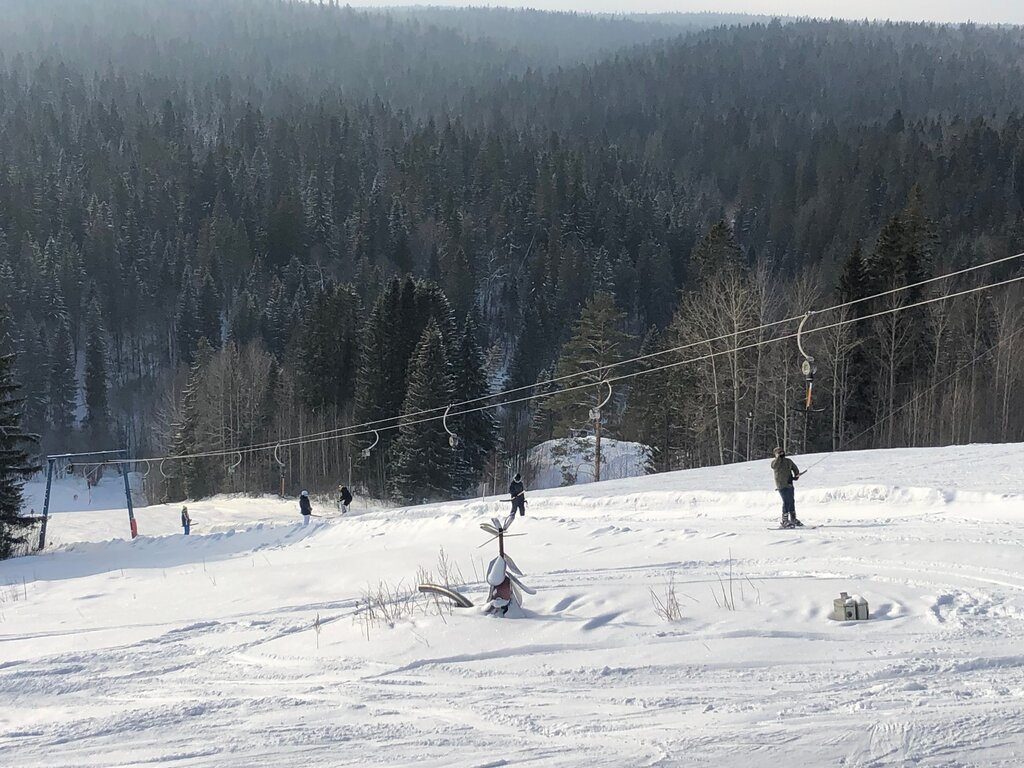 Снегири