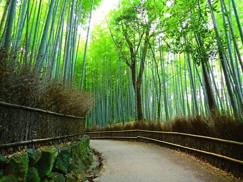 HOTEL ARROWS Arashiyama, Prenota Hotel Hotel a Ukyo Ward con parcheggio, Parcheggio