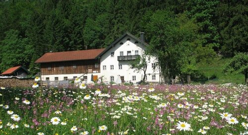 Ferienwohnung Bluntaumühle, Забронировать Отель Отели Голлинг-ан-дер-Зальцах с парковкой, Парковка