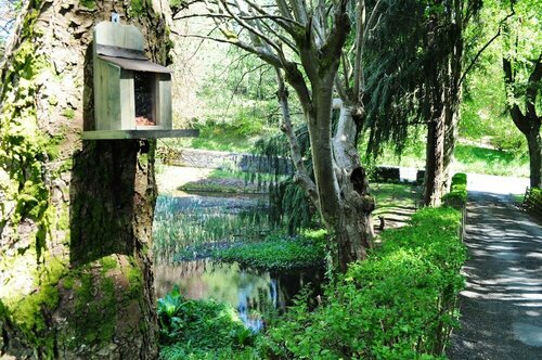 Craigmhor Lodge & Courtyard, Book Pension Pitlochry Perthshire