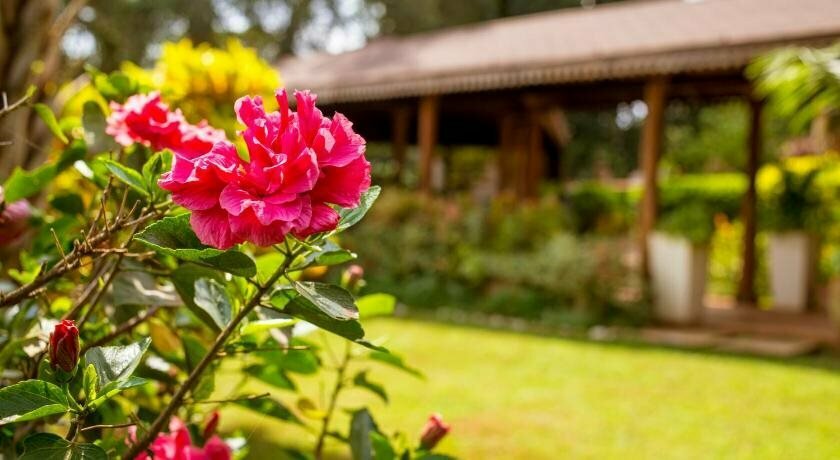 Villa Kololo Guest House