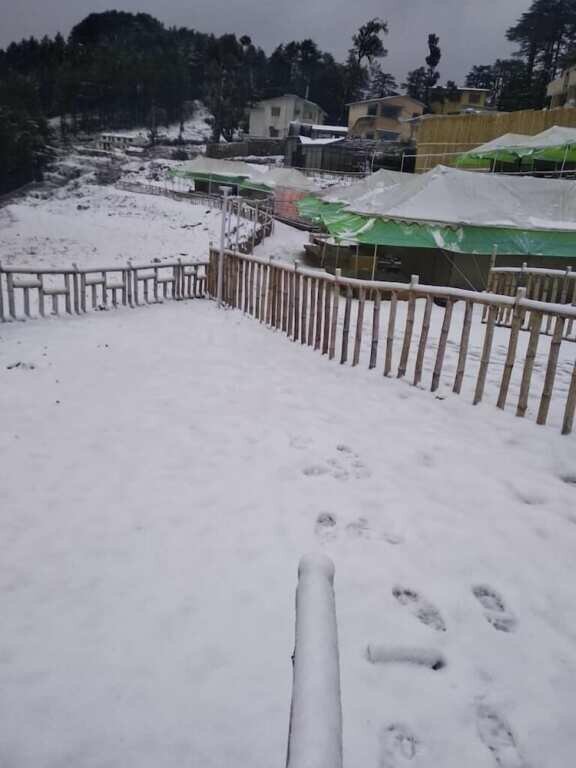 Junglee Camps & Resort