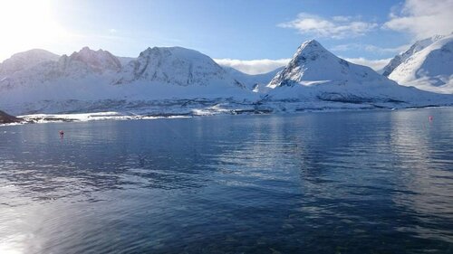 Hotell Maritim Skjervøy, Book Hotel Hoteller i Troms og Finnmark med morgenmad, Morgenmad