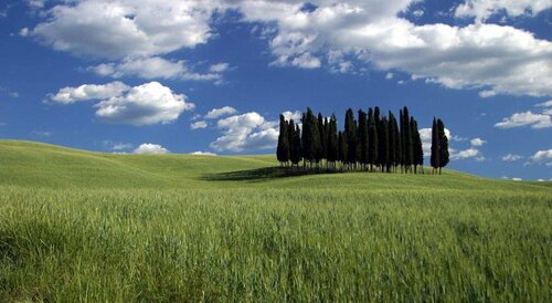 Podere La Ceppa, Забронировать Отель Синалунга Val di Chiana