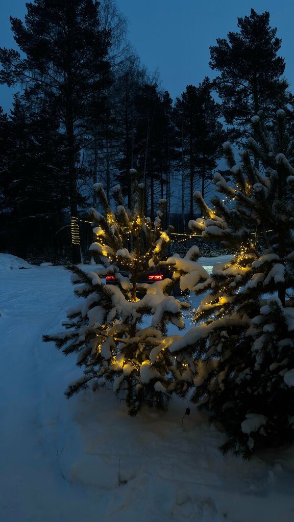 Между лесом и горами