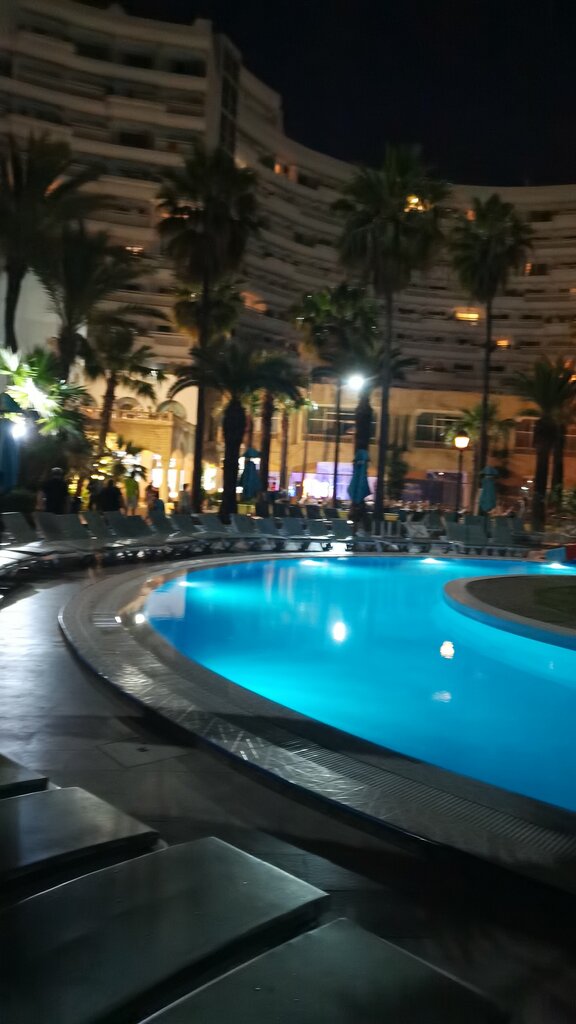 Riadh Palms